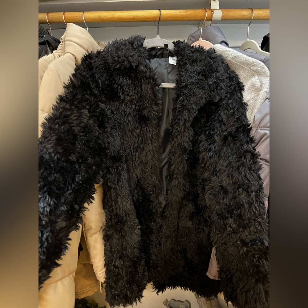 Black Fur Coat